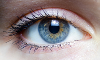 Anterior segment digital photography