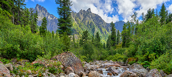 Mountain river